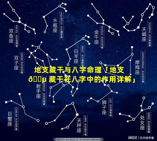 地支藏干与八字命理「地支 🐵 藏干在八字中的作用详解」